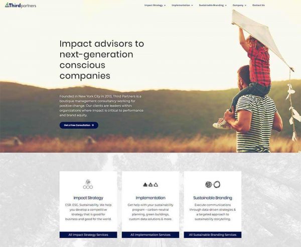 Custom WordPress Development Case Study: Third Partners